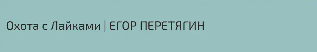 Охота с Лайками | ЕГОР ПЕРЕТЯГИН 